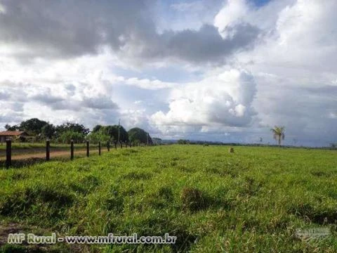 Fazenda em Seringueiras Rondônia