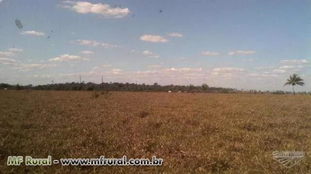 Fazenda em Rondônia de 130 alqueires