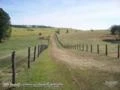 Fazenda Região de Campinas/SP