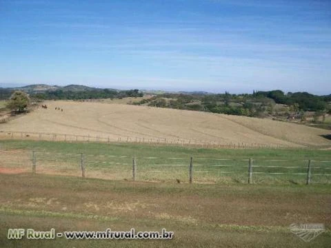 Fazenda Região de Campinas/SP