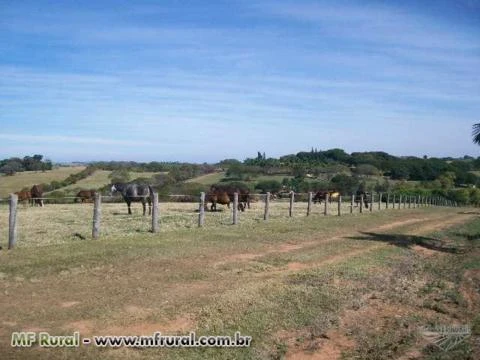 Fazenda Região de Campinas/SP