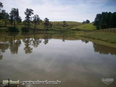 Fazenda Região de Campinas/SP