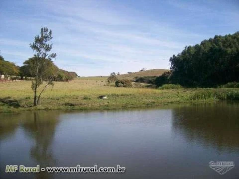 Fazenda Região de Campinas/SP