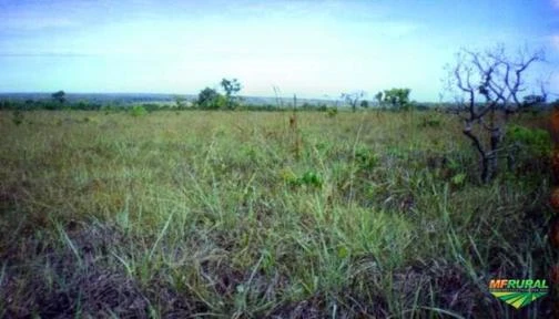 Fazenda JM - Nova Brasilândia-MT/BR