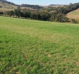 Depoimento de anúncio vendido Depoimento de anúncio vendido