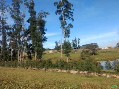Fazenda Estância Hidromineral de Amparo (Dri. Bell. 012)