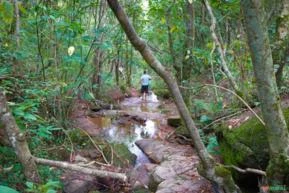 Sítio 30.000m² Estância Climática de Morungaba/SP/BR (398)