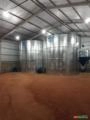 Silo Secador 3.000 Sacas Imagem Silo Secador 3.000 Sacas