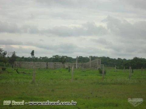 Fazenda 10.000ha Santa Cruz do Xingu para Lavoura ou Pecuária