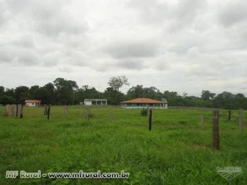 Fazenda 10.000ha Santa Cruz do Xingu para Lavoura ou Pecuária