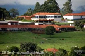 FAZENDA NA REGIÃO DE LAMBARI - MG