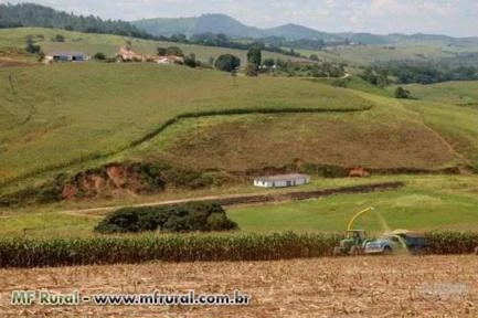 FAZENDA NA REGIÃO DE LAMBARI - MG