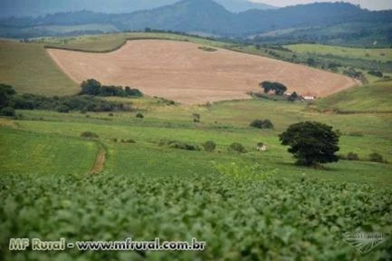 FAZENDA NA REGIÃO DE LAMBARI - MG