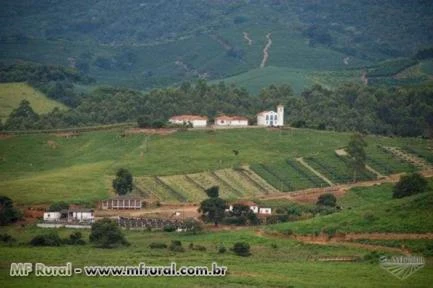 FAZENDA NA REGIÃO DE LAMBARI - MG