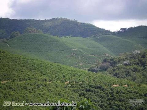 FAZENDA NA REGIÃO DE LAMBARI - MG