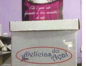 Distribuidora Delicias do açaí Ribeirão Preto e Região