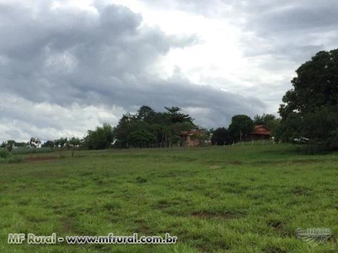 Sitio 9 alqueire em Terra Roxa SP