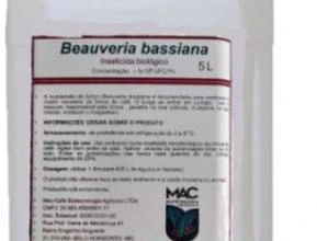 Beauveria Bassiana - Pura