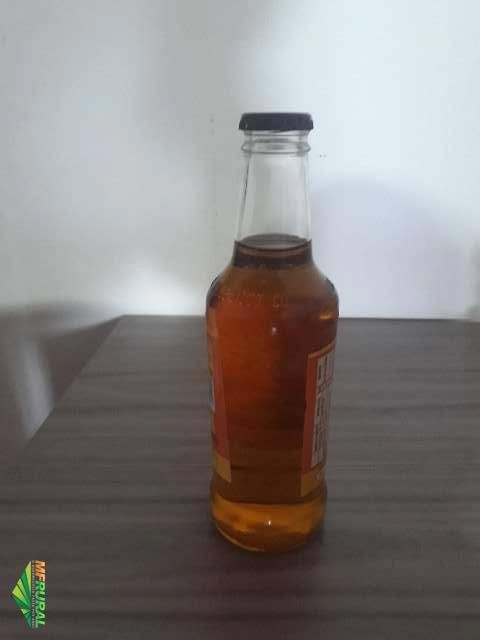 Cajuína do Ceará Imagem Cajuína do Ceará