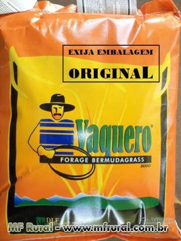 VAQUERO (bermudagrass unhulled + CD 90160) ORIGINAL - Imp. e Dist. Autorizada