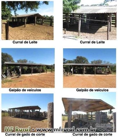 Fazenda no Mato Grosso A VENDA a partir de R$ 3.500,00/ha
