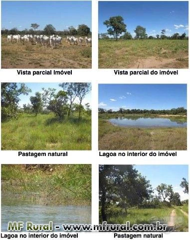 Fazenda no Mato Grosso A VENDA a partir de R$ 3.500,00/ha