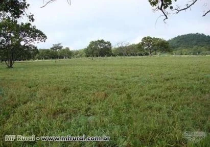 NEGOCIO DE OPORTUNIDADE. VENDO FAZENDA EM MAMBAI GOIAS