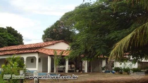 NEGOCIO DE OPORTUNIDADE. VENDO FAZENDA EM MAMBAI GOIAS