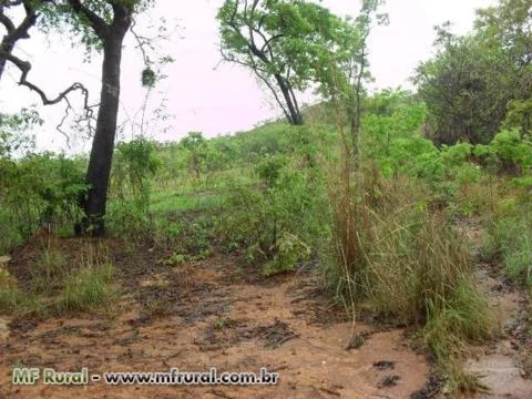 Fazenda De Oportunidade De Venda 2036 Ha em MG