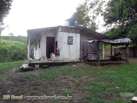 Fazenda Paraiso no município de Jacupiranga-SP 37 alqueires