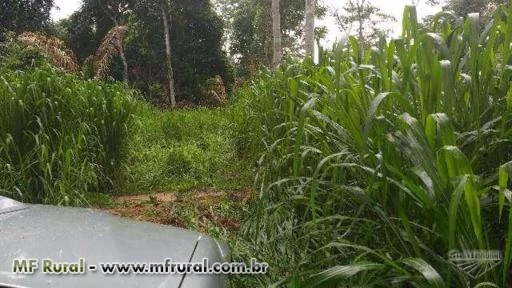 Fazenda Lagoa Azul  Alvorada D