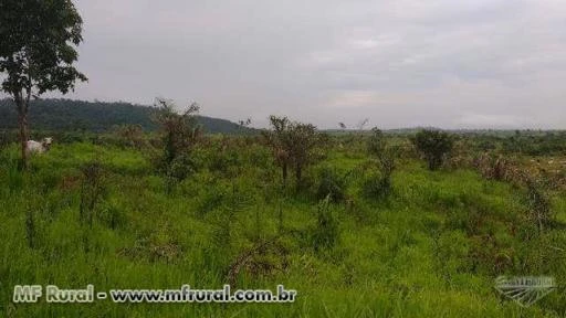 Fazenda Lagoa Azul  Alvorada D