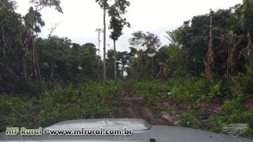 Fazenda Lagoa Azul  Alvorada D