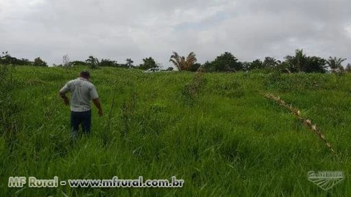 Fazenda Lagoa Azul  Alvorada D