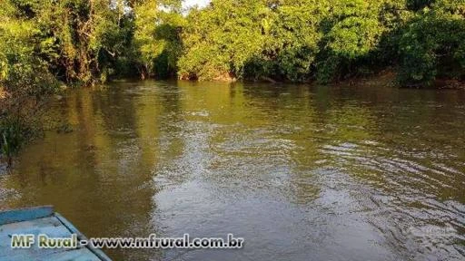 Fazenda Lagoa Azul  Alvorada D