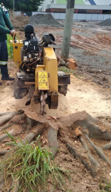 LOCAÇÃO DE DESTOCADOR DE RAÍZES Imagem LOCAÇÃO DE DESTOCADOR DE RAÍZES