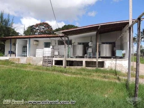 Vendo propriedade rural em Monte Alegre/RN