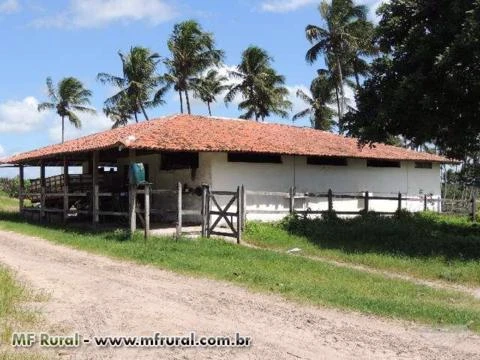 Vendo propriedade rural em Monte Alegre/RN