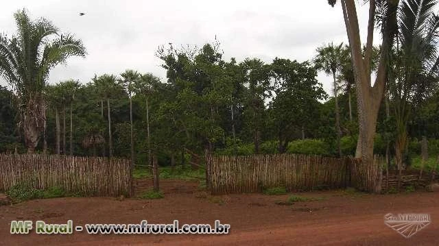 Fazenda para reserva legal no Piauí