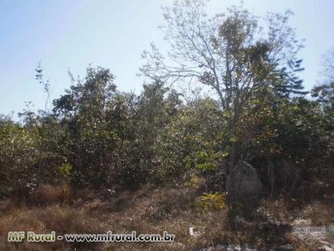 Fazenda para Reserva Legal