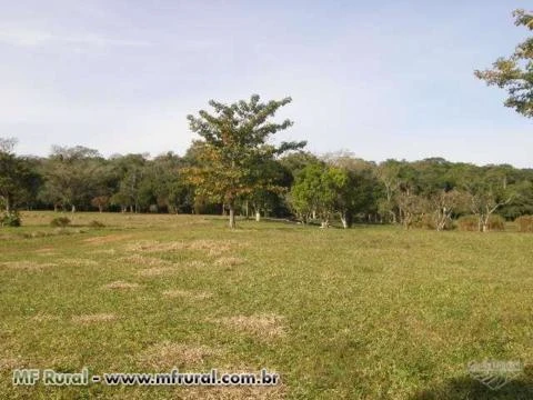 Sítio 55 hectares em Estancia Velha-RS,