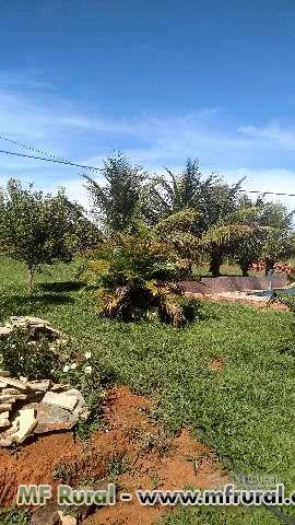 CHACARA PARA LAZER E CRIAÇÃO DE GADO PARA LEITE EM BELA VISTA DE GOIAS