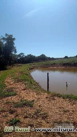 CHACARA PARA LAZER E CRIAÇÃO DE GADO PARA LEITE EM BELA VISTA DE GOIAS