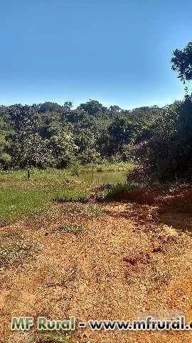 CHACARA PARA LAZER E CRIAÇÃO DE GADO PARA LEITE EM BELA VISTA DE GOIAS