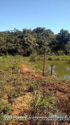 CHACARA PARA LAZER E CRIAÇÃO DE GADO PARA LEITE EM BELA VISTA DE GOIAS