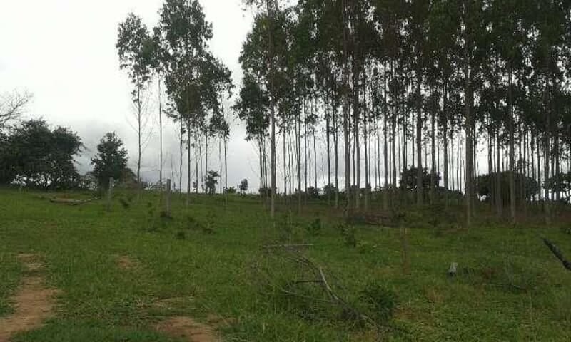 Vende-Se Uma Fazenda de 30 Alqueires Com 80 Hectares de 146369
