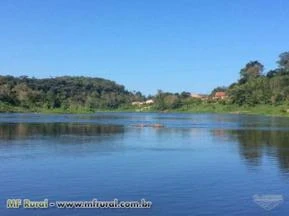 Fazenda 6 amigos – 156 hectares – produtiva