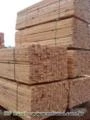 Venda de madeiras serradas, para construção, embalagem ou moveis