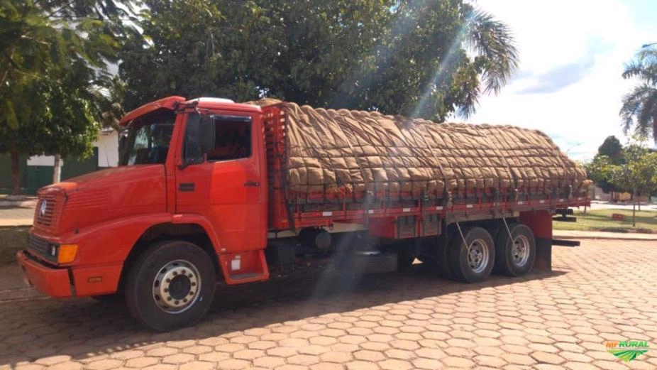 MELANCIA Imagem MELANCIA