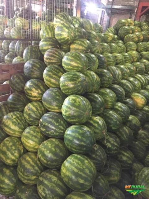 Imagem MELANCIA Imagem MELANCIA